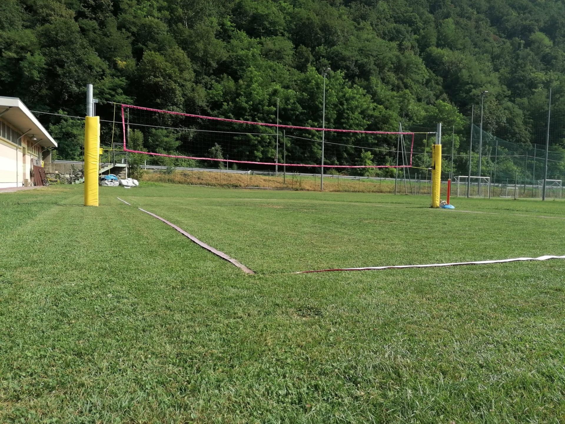 Green Volley